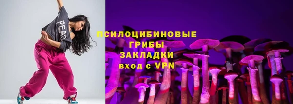 apvp Арсеньев