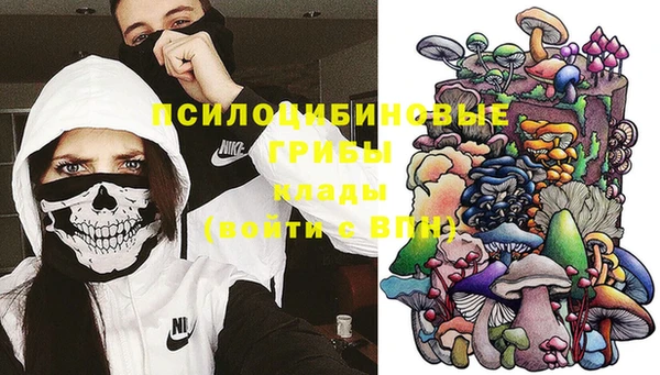 apvp Арсеньев