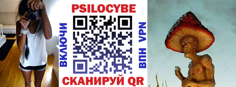 Псилоцибиновые грибы Psilocybe  Видное 